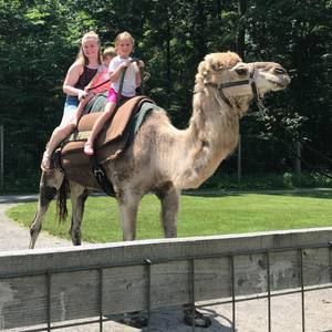 Meet your Posher, Shannon